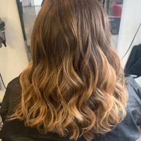 bronde highlights